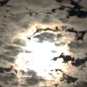 Meet your Posher, Millie